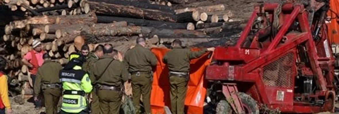 Trabajador forestal muere aplastado durante faena en La Unión