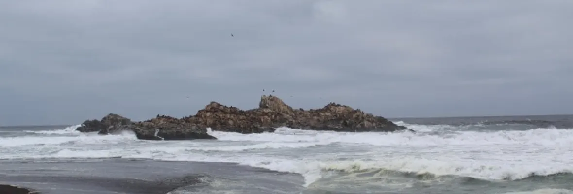 Empresa Cultivos Pelícano desiste de 6 proyectos acuícolas en la costa de Ñuble