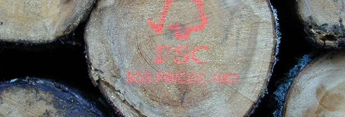 Documental | Capitalismo verde forestal: ¿Corrupción en los sellos ecológicos FSC?