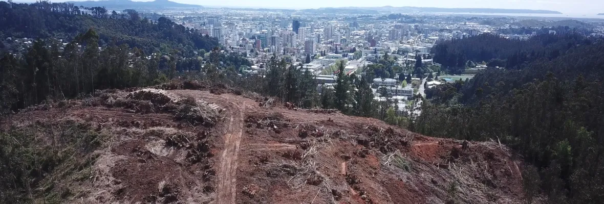 Documental penquista cuestiona negocio inmobiliario y Parque Científico del Biobío