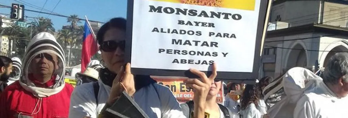 RAP-AL expone alarmantes antecedentes respecto a los efectos del uso de agrotóxicos en Chile