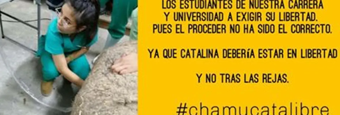 Otra estudiante se suma a la larga lista de quienes sufren “la pena de prisión preventiva”