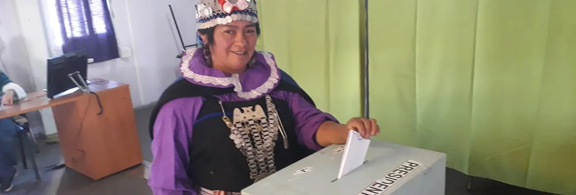 Comunidad de Tirúa decide que se retiren empresas forestales tras histórica votación en consulta ciudadana