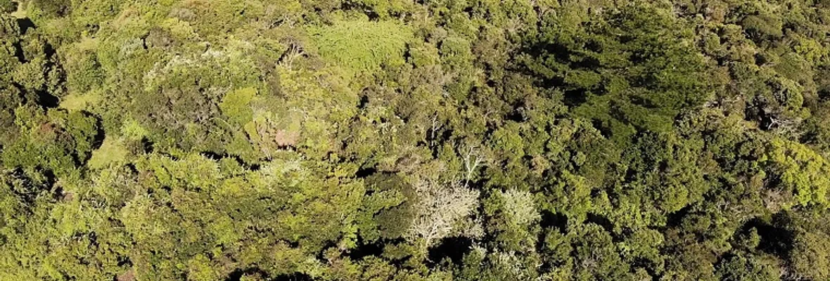 Santuario de la Naturaleza de Hualpén desprotegido: permitirán su urbanización