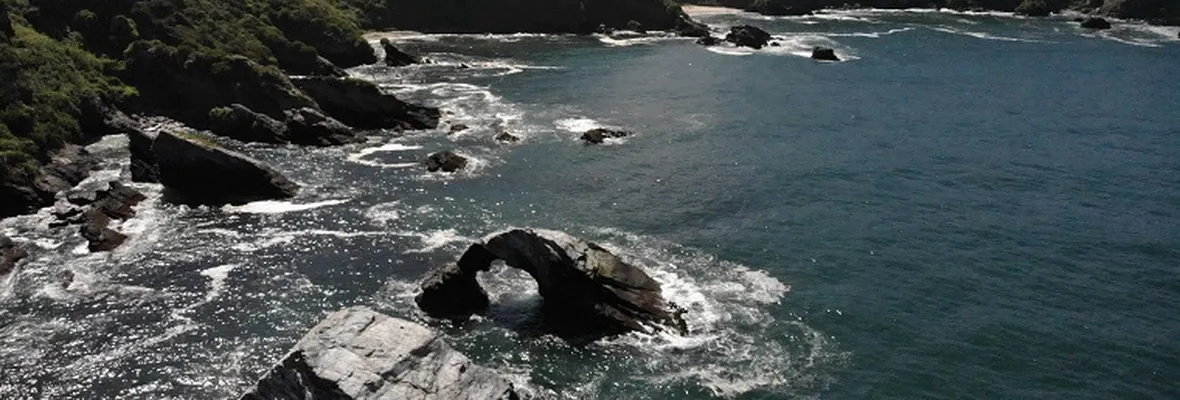 Santuario de la Naturaleza de Hualpén en Peligro: Concejo Municipal rechaza todas las observaciones ciudadanas para resguardarlo