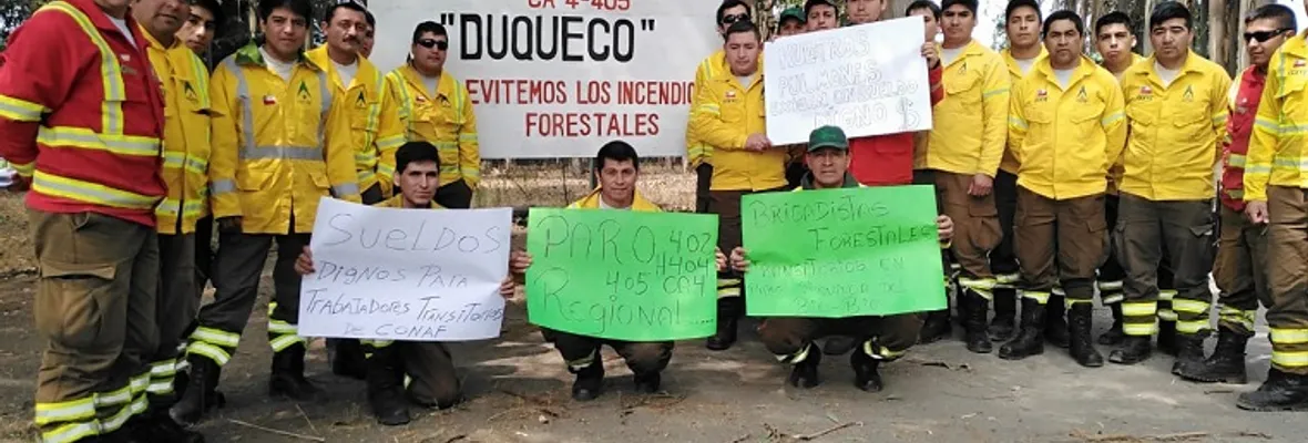 Histórica movilización de brigadistas de la CONAF en medio de incendios forestales