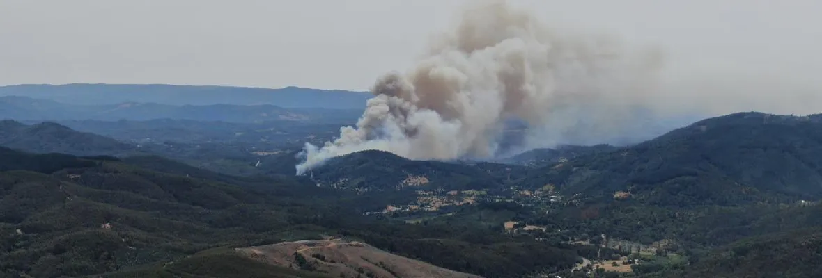 Incendio forestal en Nacimiento:  solicitan apoyo a equipos de emergencia a nivel regional