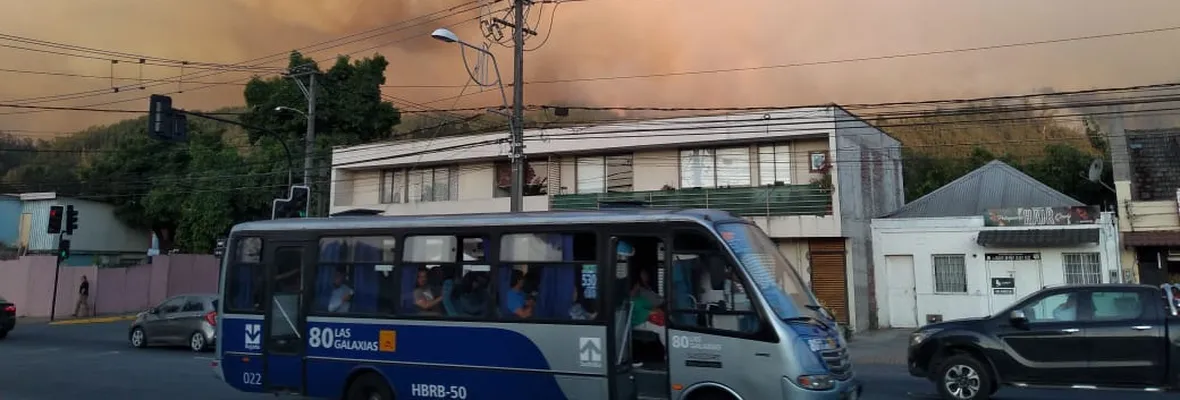Incendio Forestal afecta al Cerro Manquimávida de Chiguayante generando preocupación por viviendas cercanas