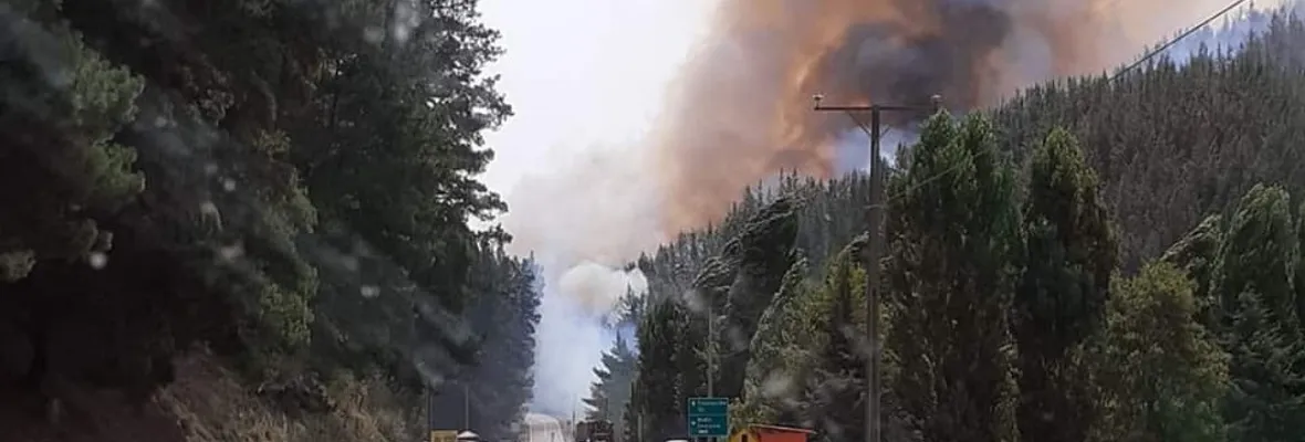 Incendios forestales afectan las comunas de Cabrero, Nacimiento y Santa Juana en la región del Biobío