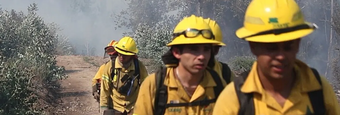Bajo duras condiciones y con implementación precaria: brigadistas y bomberos combaten el incendio forestal en Nonguén