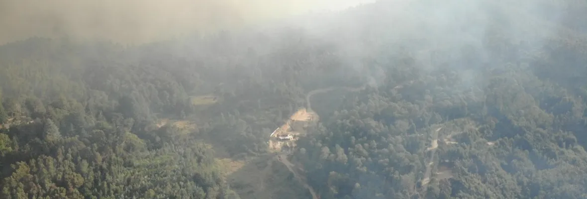 Incendio forestal en Nonguén alcanzó parte baja de fundo El Salto amenazando viviendas