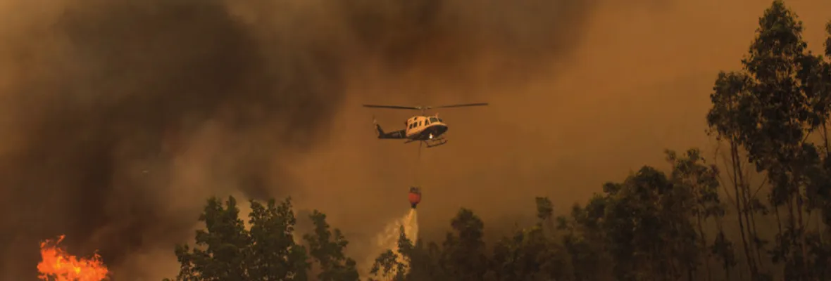 Marcelo Piccardo Lemus: El empresario que impidió cargar agua a piloto español que combatía incendios en Yumbel