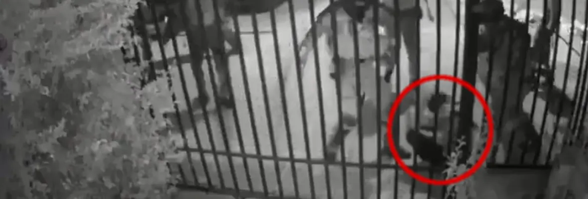 INDH anuncia querella por tortura contra carabineros que golpearon en el suelo a manifestante en Puente Alto