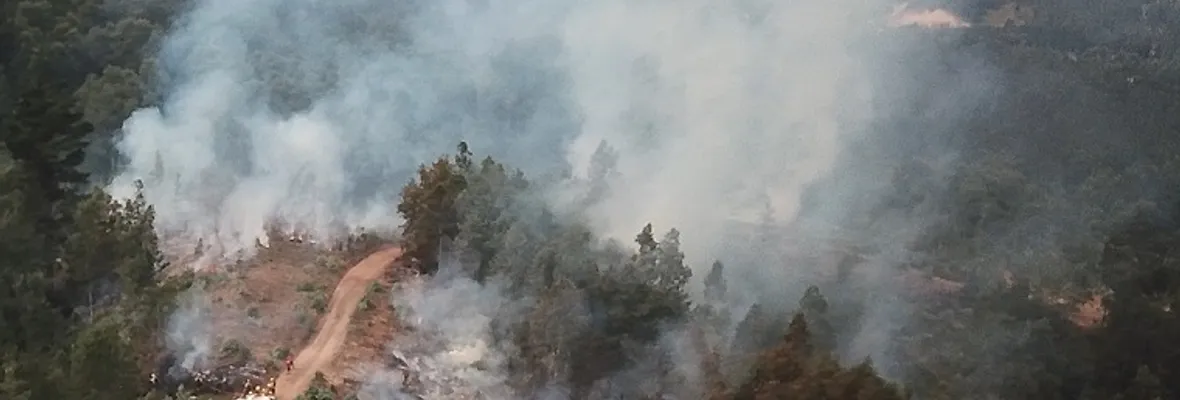 VIDEO: Vecinos/as y Asamblea Territorial Nonguenche ante incendios en Reserva Nonguén