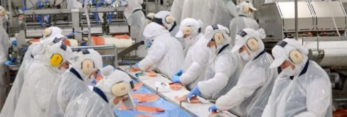 Confirmado primer caso de COVID-19 en planta Salmones Blumar en Talcahuano