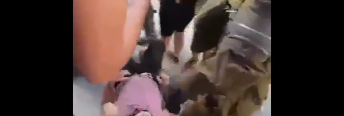 Carabineros agredieron brutalmente a adulto mayor en Santiago
