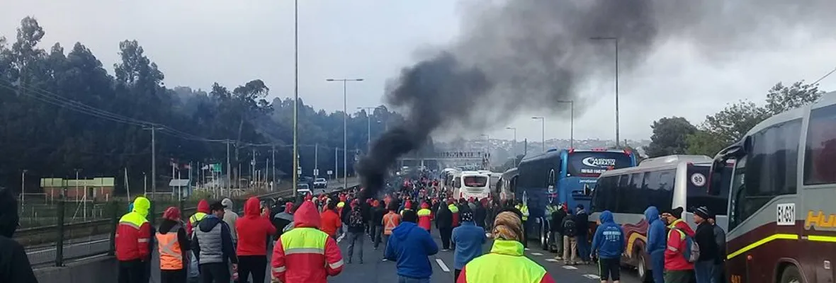 Trabajadores lograron suspender faenas del proyecto MAPA de Celulosa Arauco