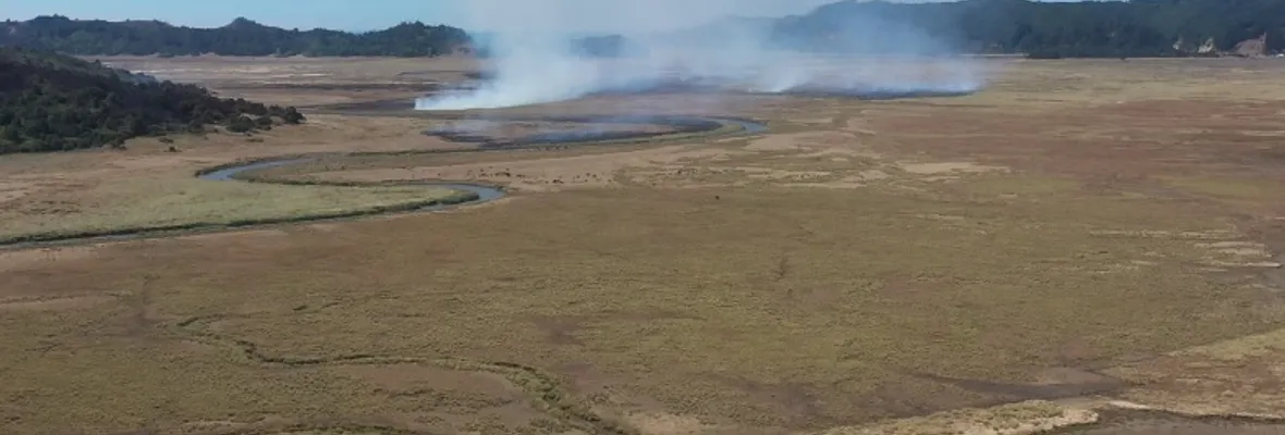 Megasequía: Incendio de plantaciones forestales se propagó nuevamente al humedal más grande del Biobío