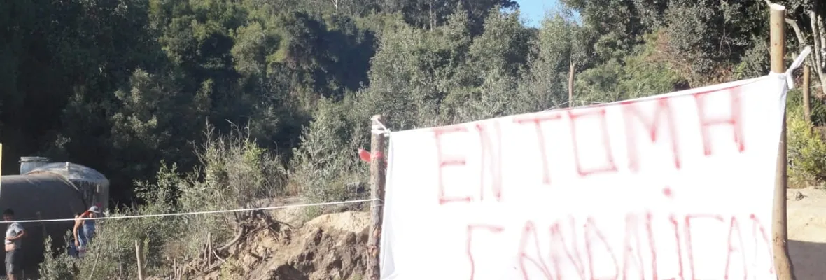 Pobladores/as se toman terrenos de Forestal Arauco en Laraquete