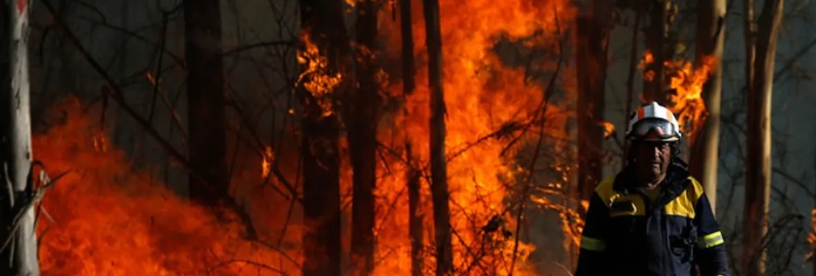 Alcaldesa de Molina por megaincendio forestal: hacemos un llamado al Estado para que se generen políticas sustentables, que no impliquen seguir destruyendo nuestro ecosistema