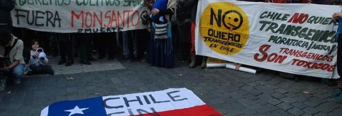 En secreto SAG cocina nueva regulación sobre transgénicos: incluirá los OGMs “made in Chile”