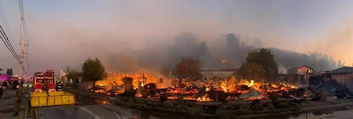 Incendio en Arauco afecta histórico cerro Colo Colo y casas aledañas