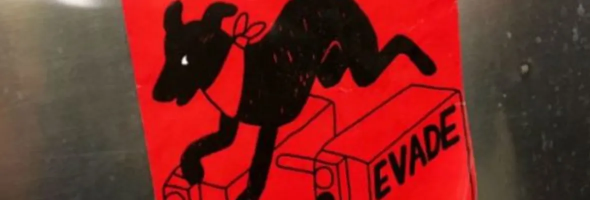 ¿En qué consiste la "ley sticker" cuya idea de legislar fue aprobada por la Cámara de Diputados?