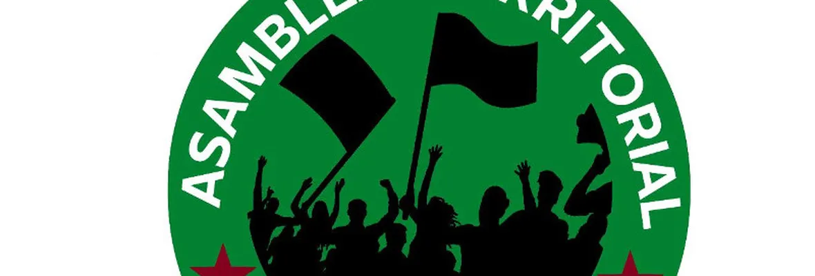 Asamblea Terrritorial Sector Sur de Villa Alemana denuncia golpiza de vecino, presuntamente por policías
