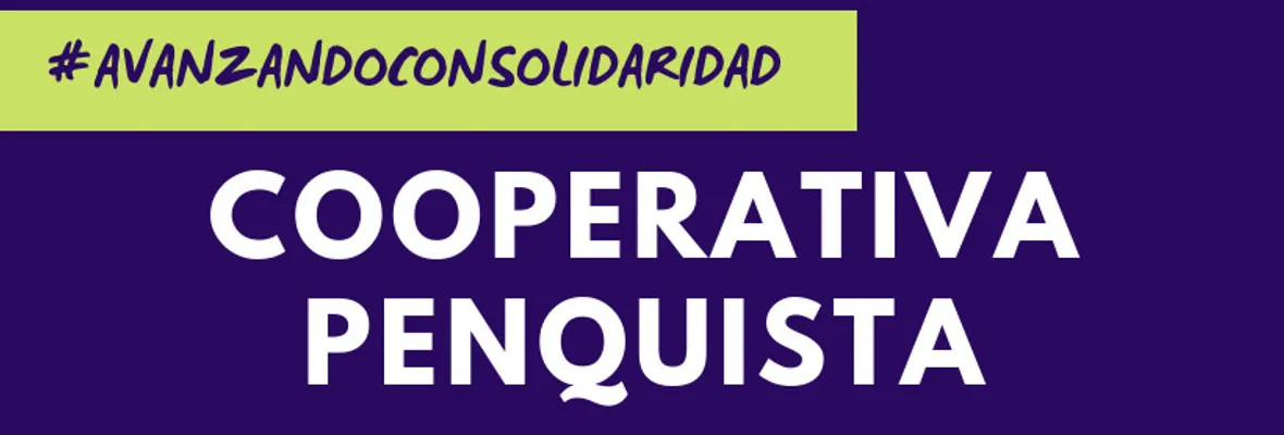 Solidaridad en tiempos de pandemia: en Concepción levantan cooperativa de abastecimiento