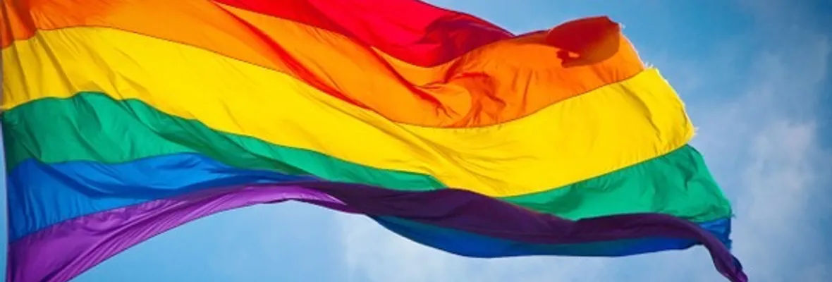 Día contra la homo, lesbo, bi, transfobia: Balances y desafíos ante la discriminación