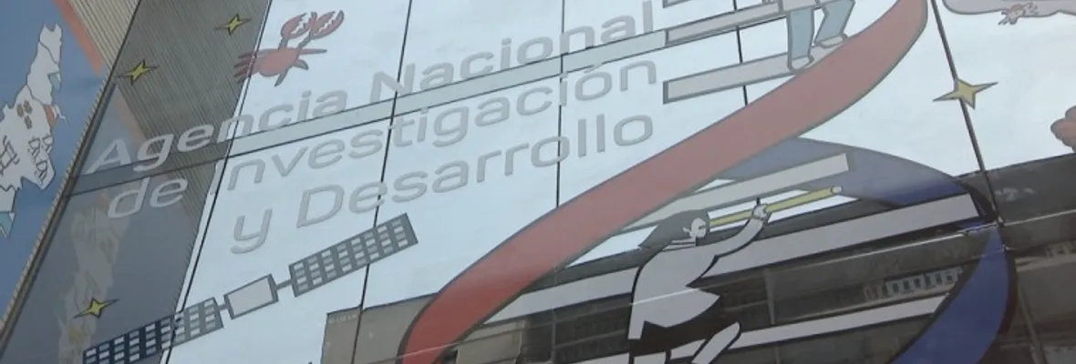 Precarización y estancamiento de la investigación científica: las consecuencias del recorte de presupuesto de Ciencias