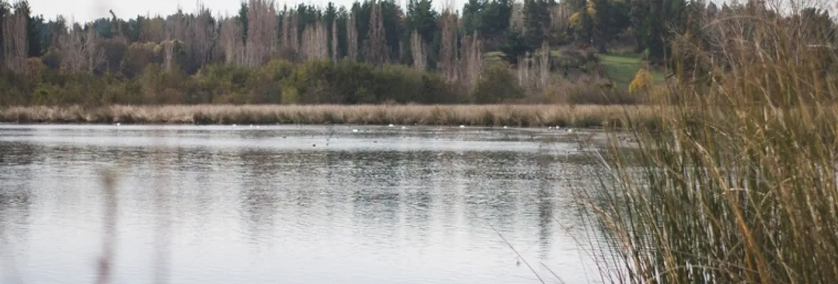 Ingeniero hidráulico asegura que sí existe un humedal en la laguna "La Señoraza" en Laja