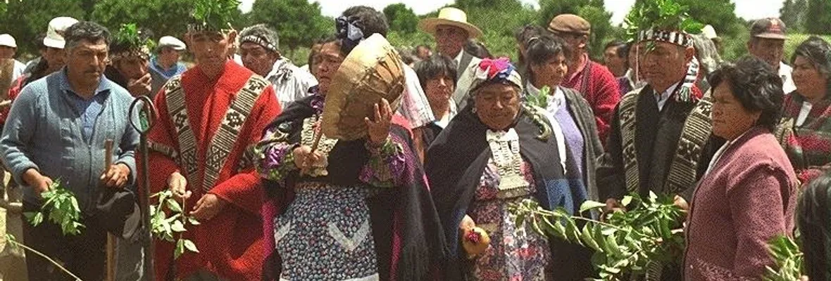 Territorio Mapuche Pehuenche registra mayor cantidad de contagios por habitantes en Biobío