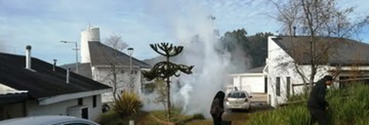 Decretan prisión preventiva para joven mapuche detenido tras violenta represión y agresiones de Carabineros a comuneras en Cañete