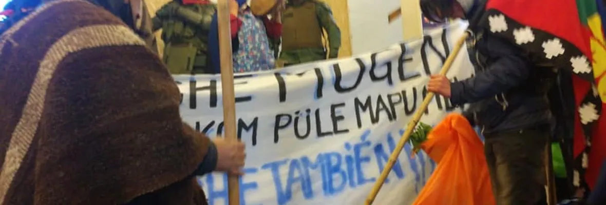 Movilizaciones por la aplicación del Convenio 169 de la OIT a los presos políticos mapuche en huelga de hambre marcaron jornada