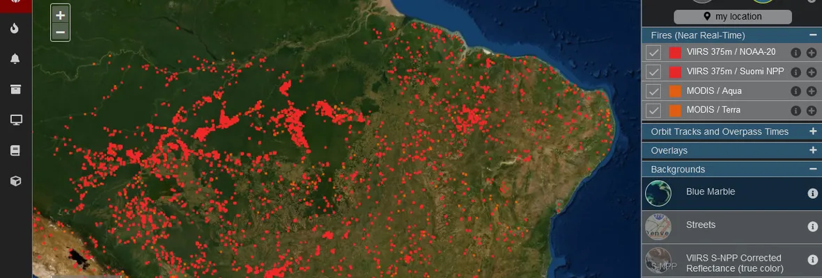 Incendios en Pantanal revelan avance de la deforestación, agroindustria y pérdida de biodiversidad
