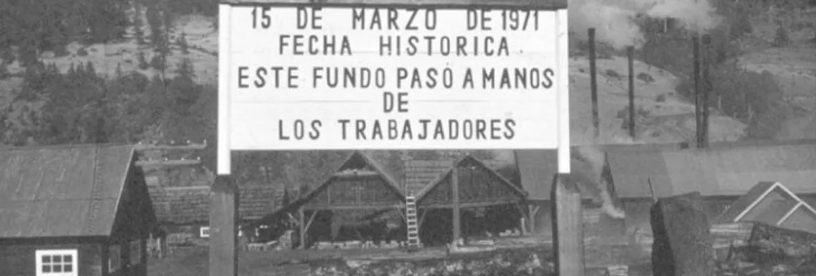 Hoy se cumplen 50 años de la creación del Complejo Forestal Maderero Panguipulli