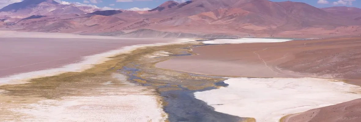 Comisión de Evaluación Ambiental de Atacama rechazó proyecto minero a tajo abierto Fénix Gold en cerro Maricunga