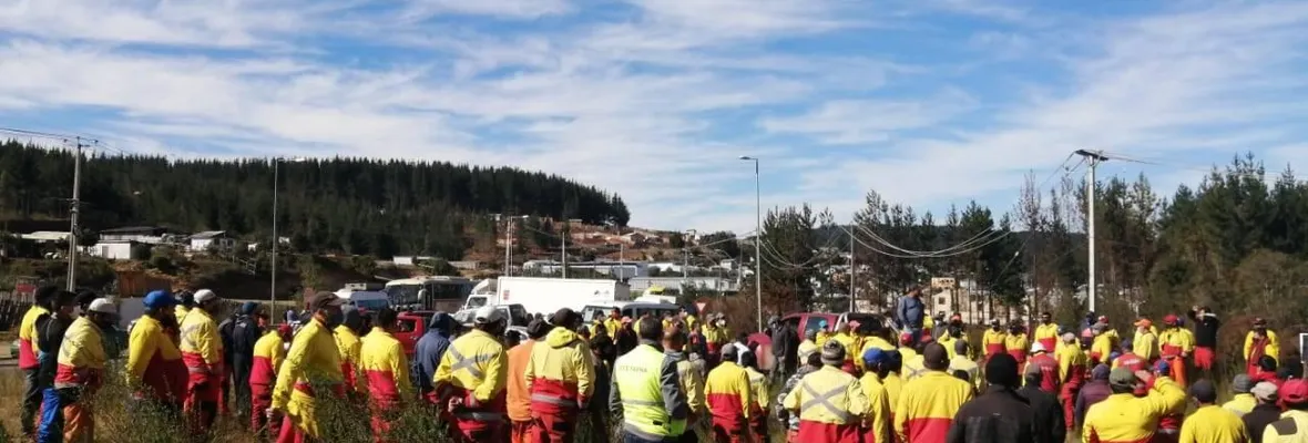 Trabajadores forestales se sumarán al paro de este viernes 30