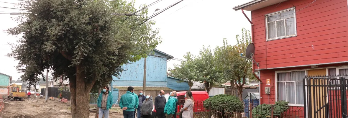 Municipalidad de Talcahuano sacará árbol defendido por adulta mayor