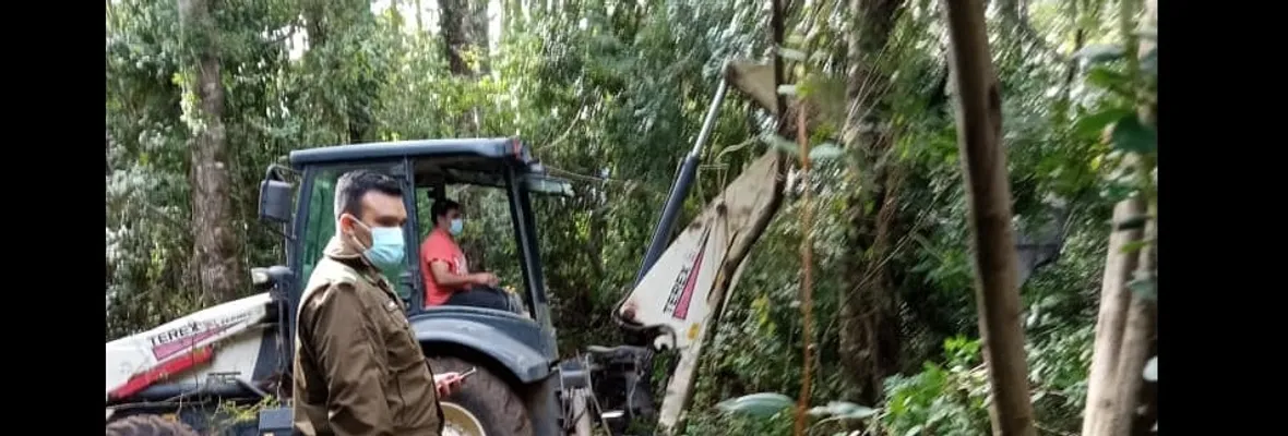 Denuncian que empresas Eltit sigue destruyendo bosque nativo en Pucón pese a que no cuenta con permisos legales