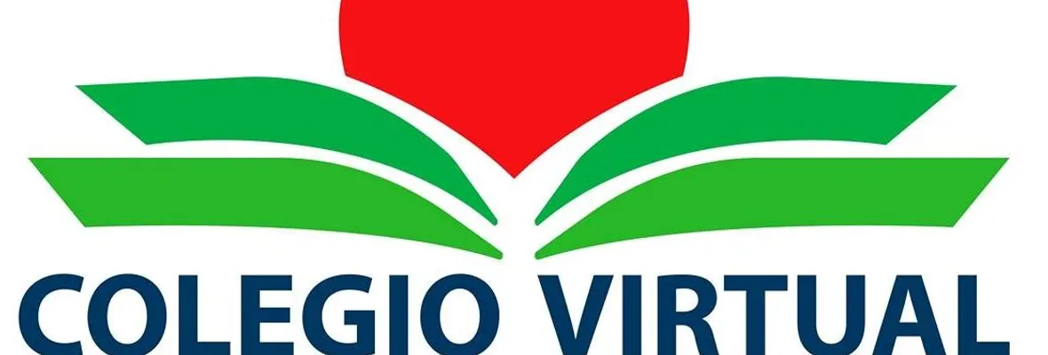 Nuevamente acusan al Colegio Virtual de Chile por no pagar sueldos a sus trabajadores/as