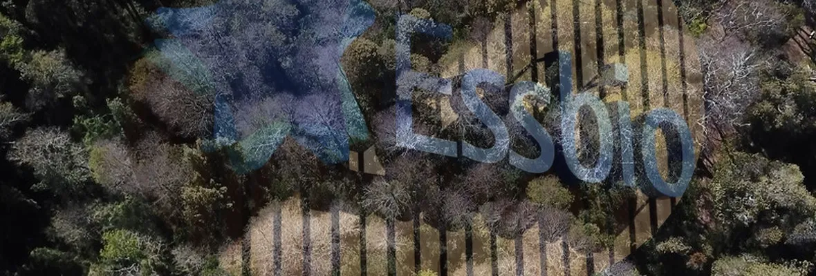 Municipalidades demandan a Essbio por daño ambiental en la Reserva Nonguén