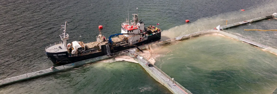 Nuevas floraciones algales nocivas y gran mortalidad en industria salmonera pueden causar graves impactos en el mar austral