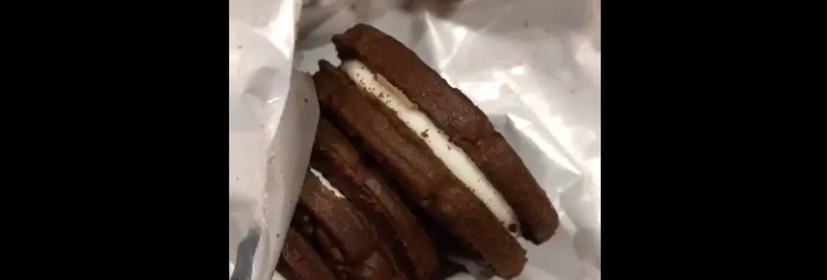 Sernac informa de 40 reclamos por "eventual presencia de larvas" en galletas Tritón