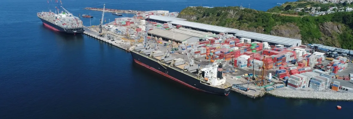 Unión Portuaria acusa desinterés total en controlar la circulación de drogas en terminales marítimos