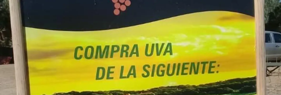 Viñateros/as denuncian a poderes compradores: “son un empleado más de grandes viñas, financiados por el Estado”