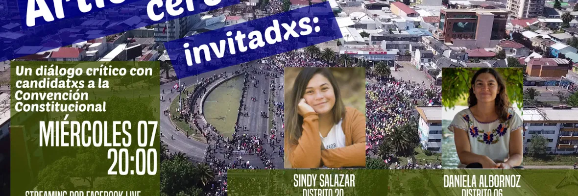 Artículo Cero: Medio ambiente y feminismo, ejes de la nueva Constitución
