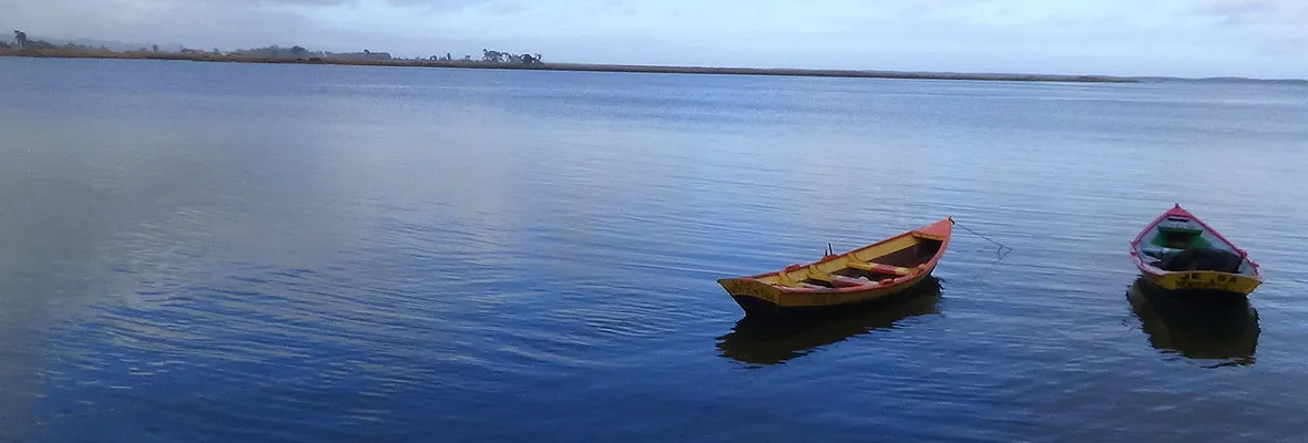 Encuentran cuerpo de pescador artesanal desaparecido en Nehuentúe