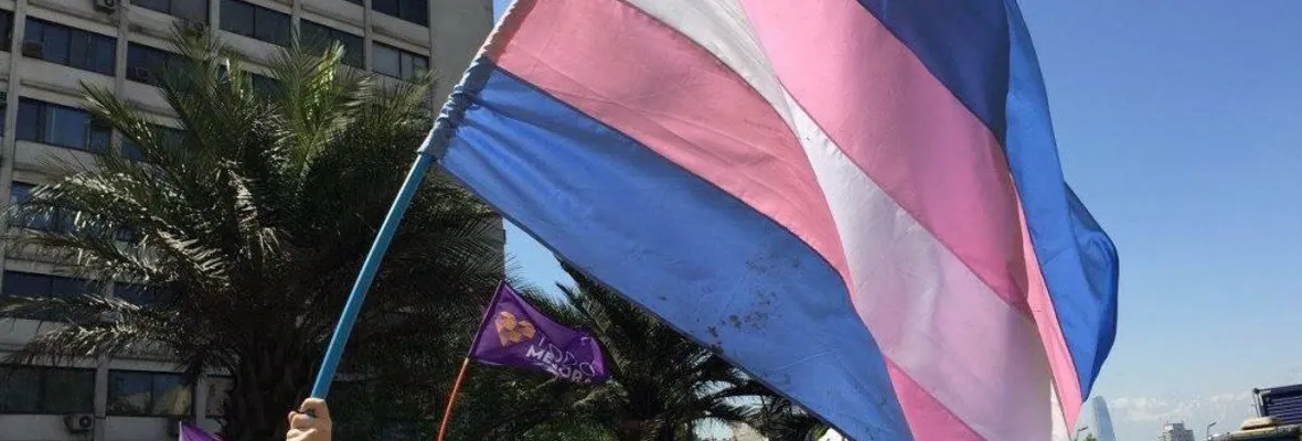 La Cisterna: Mujer trans perdió la visión de un ojo tras brutal ataque con perdigones